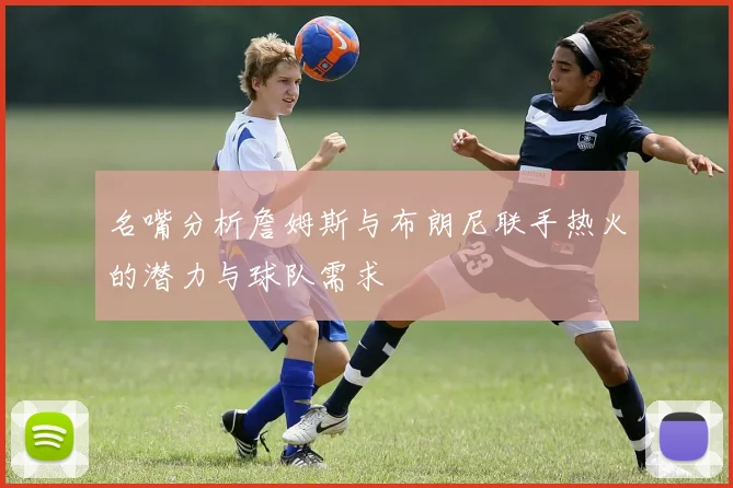 名嘴分析詹姆斯与布朗尼联手热火的潜力与球队需求