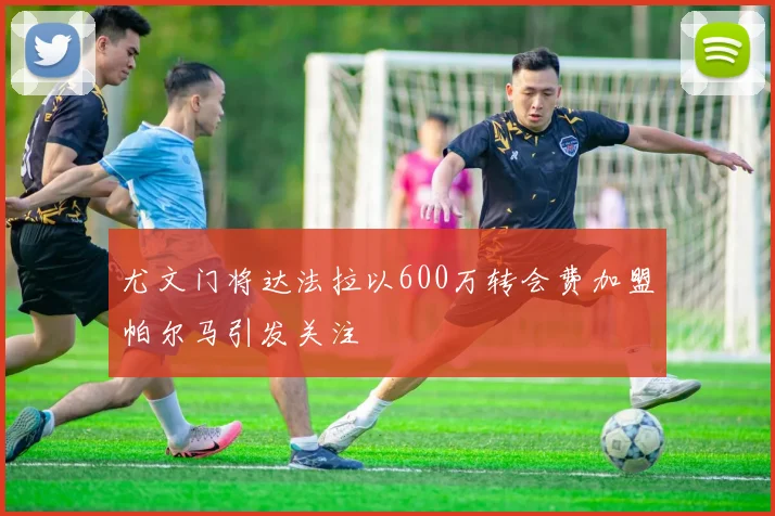 尤文门将达法拉以600万转会费加盟帕尔马引发关注
